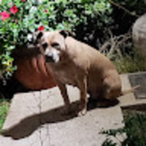 Meet your Posher, Kirk